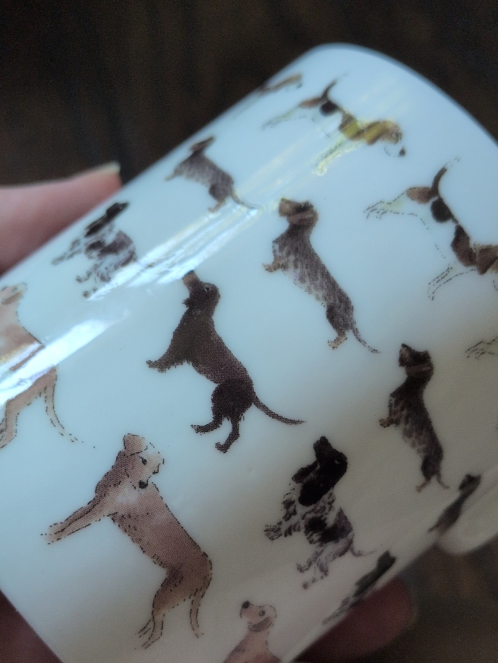 SOPHIE ALLPORT I 'Woof!' Brown Dogs Pattern Fine Bone China Ceramic Mug - Picture 10 of 13